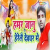 About Hamar Janu Heragelei Devghar Me Song